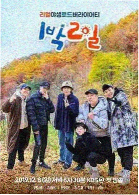 茶杯狐影视-花儿与少年5